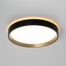 Citilux ETALON CL750241 LED Светильник с подсветкой Чёрный+Золото