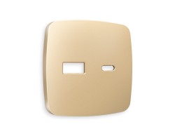 Ambrella Light Лицевая панель для розетки 2USB тип A+C QUANT Ambrella Volt OMEGA OP6110