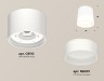 Ambrella Light Потолочный светильник XS8110001