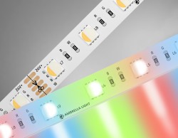 Ambrella Light Светодиодная лента RGB с теплым белым светом 5050 60Led 10W 24V IP20 RGBW+3000K GS GS4401