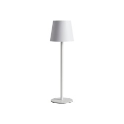 Уличный настольный светильник Arte Lamp FUYUE