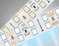 Ambrella Light Светодиодная лента GS3603 2835 204Led 20W 24V IP20 6500K GS GS3603