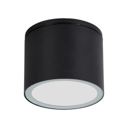 Уличный потолочный светильник Arte Lamp PIAUTOS