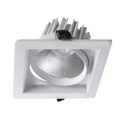 Карданный светильник Arte Lamp PRIVATO