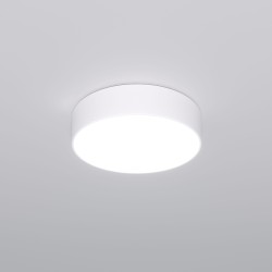 Потолочный светодиодный светильник с регулировкой яркости и цветовой температуры                      Eurosvet  90318/1 белый