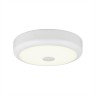 Citilux Фостер-1 CL706120 Светодиодный светильник Белый