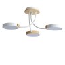 Люстра потолочная LUMION ARLEY 5654/54CL
