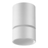 Светильник накладной NOVOTECH ELINA 370732