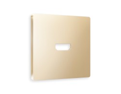 Ambrella Light Лицевая панель для HDMI розетки QUANT Ambrella Volt ALFA AP6140
