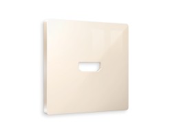 Ambrella Light Лицевая панель для HDMI розетки QUANT Ambrella Volt ALFA AP3140