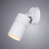 Светильник Arte Lamp MISTERO A3304AL-1WH