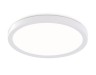 Ambrella Light Светильник потолочный светодиодный Ambrella light FZ1903