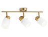 Ambrella Light Спот Traditional TR3972
