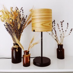 WOODLED GALACTIC Jupiter Table Lamp