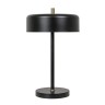 Декоративная настольная лампа Arte Lamp SKAT