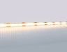 Ambrella Light Светодиодная лента 10Вт/м 24V IP20 3000K Ambrella light ILLUMINATION GS4651