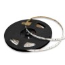 Светодиодная лента ST Luce 9,6W/m 120LED/m 4000К 5M ST5016.410.65