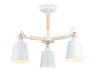 Ambrella Light Люстра на штанге TRADITIONAL TR82204