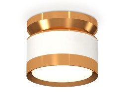 Ambrella Light Потолочный светильник XS8101060