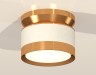 Ambrella Light Потолочный светильник XS8101060