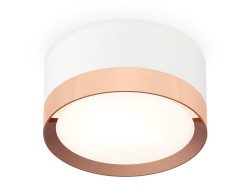 Ambrella Light Потолочный светильник XS8101006