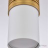 Подвесной светильник APL2232024CN SWT+SGD Arte Perfetto Luce