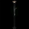 Торшер Arte Lamp DUETTO