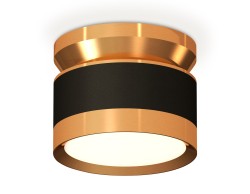 Ambrella Light Потолочный светильник XS8102060