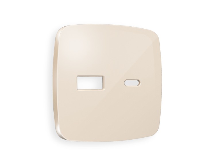 Ambrella Light Лицевая панель для розетки 2USB тип A+C QUANT Ambrella Volt OMEGA OP3110