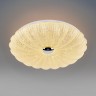 Light Star 225630 ArcoShell Светильник светодиодный настенно-потолочный
