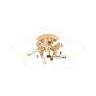 Escada 10265/5 LED*50W Gold