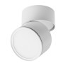 Light Star 215886 Acuto Светильник светодиодный накладной заливающего света с переключателем CCT