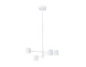 Ambrella Light Люстра светодиодная на штанге LineTech FL51705