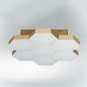 Light Star 750073 Favo Светильник потолочный