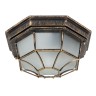 Уличный потолочный светильник Arte Lamp PEGASUS