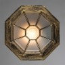 Уличный потолочный светильник Arte Lamp PEGASUS