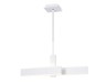 Ambrella Light Светильник потолочный светодиодный FA6666