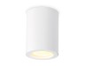 Ambrella Light Светильник потолочный Techno TN22797