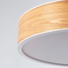 WOODLED GALACTIC Jupiter Chandelier M