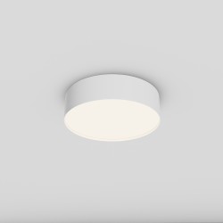Maytoni Потолочный светильник Zon 4000K 24W 120°