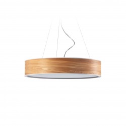 WOODLED GALACTIC Jupiter Chandelier L
