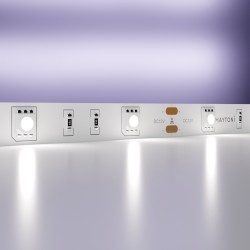 Maytoni Светодиодная лента 12В 5050 7,2Вт/м  6000K 5м IP20