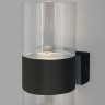 Настенный светодиодный светильник со стеклянным плафоном                      Eurosvet  40021/1 LED чёрный/прозрачный