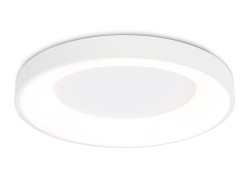 Ambrella Light Светильник потолочный светодиодный Ambrella light FZ1401