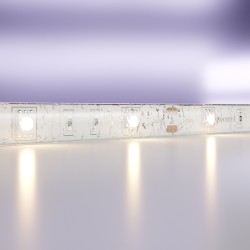 Maytoni Светодиодная лента 12В 5050 7,2Вт/м  3000K 5м IP65