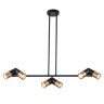 Indigo Подвесной светильник 11036/6R Black