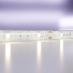 Maytoni Светодиодная лента 12В 5050 7,2Вт/м  4000K 5м IP65
