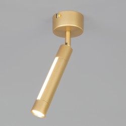 20084/1 LED матовое золото, Настенно-потолочный светодиодный светильник