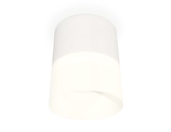 Ambrella Light Потолочный светильник XS8110002