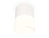 Ambrella Light Потолочный светильник XS8110002